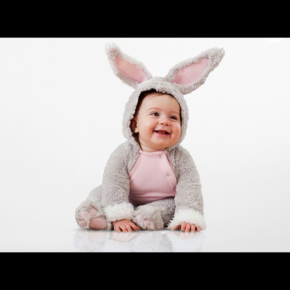 Pottery Barn Bunny Rabbit Costume